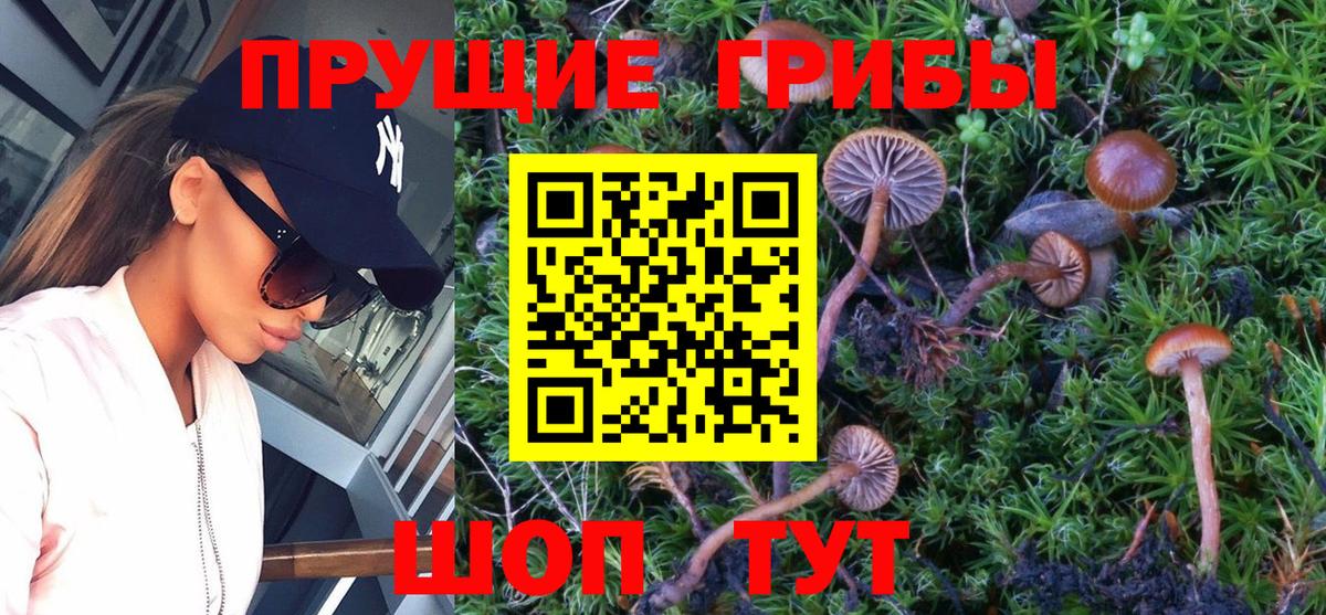 Псилоцибиновые грибы Magic Shrooms Берёзовский